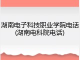 湖南电子科技职业学院电话(湖南电科院电话)