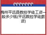 梅州平远县数控学徒工资一般多少钱(平远数控学徒薪资)