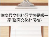 临高县文化补习学校是哪一家(临高文化补习校)