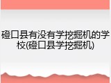 磴口县有没有学挖掘机的学校(磴口县学挖掘机)