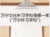 万宁文化补习学校是哪一家("万宁补习学校")