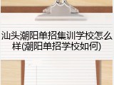 汕头潮阳单招集训学校怎么样(潮阳单招学校如何)