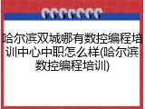 哈尔滨双城哪有数控编程培训中心中职怎么样(哈尔滨数控编程培训)