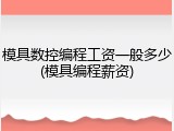 模具数控编程工资一般多少(模具编程薪资)
