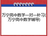万宁高中数学一对一补习(万宁高中数学辅导)