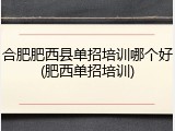 合肥肥西县单招培训哪个好(肥西单招培训)