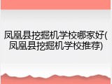 凤凰县挖掘机学校哪家好(凤凰县挖掘机学校推荐)