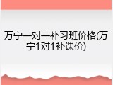 万宁一对一补习班价格(万宁1对1补课价)