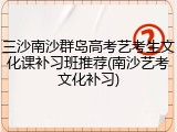 三沙南沙群岛高考艺考生文化课补习班推荐(南沙艺考文化补习)
