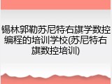 锡林郭勒苏尼特右旗学数控编程的培训学校(苏尼特右旗数控培训)