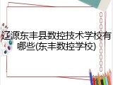 辽源东丰县数控技术学校有哪些(东丰数控学校)