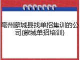 亳州蒙城县找单招集训的公司(蒙城单招培训)