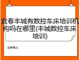 宜春丰城有数控车床培训机构吗在哪里(丰城数控车床培训)