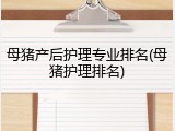 母猪产后护理专业排名(母猪护理排名)