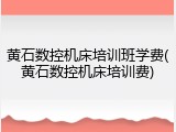 黄石数控机床培训班学费(黄石数控机床培训费)