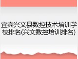 宜宾兴文县数控技术培训学校排名(兴文数控培训排名)