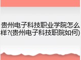 贵州电子科技职业学院怎么样?(贵州电子科技职院如何)