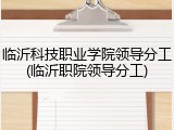 临沂科技职业学院领导分工(临沂职院领导分工)