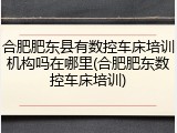 合肥肥东县有数控车床培训机构吗在哪里(合肥肥东数控车床培训)