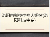 洛阳市科技中专大杨树(洛阳科技中专)