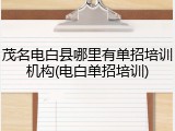 茂名电白县哪里有单招培训机构(电白单招培训)