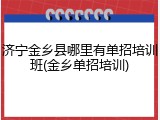 济宁金乡县哪里有单招培训班(金乡单招培训)