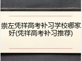 崇左凭祥高考补习学校哪家好(凭祥高考补习推荐)