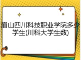 眉山四川科技职业学院多少学生(川科大学生数)