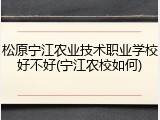 松原宁江农业技术职业学校好不好(宁江农校如何)