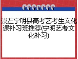 崇左宁明县高考艺考生文化课补习班推荐(宁明艺考文化补习)