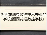 湘西花垣县数控技术专业的学校(湘西花垣数控学校)