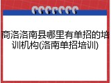 商洛洛南县哪里有单招的培训机构(洛南单招培训)