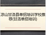 凉山甘洛县单招培训学校推荐(甘洛单招培训)