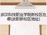 武汉科技职业学院新校区在哪(武职新校区地址)
