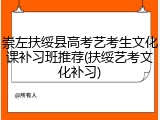 崇左扶绥县高考艺考生文化课补习班推荐(扶绥艺考文化补习)