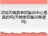 河池天峨县单招集训中心是真的吗(天峨单招集训靠谱吗)