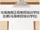 乌海海南正规单招培训学校在哪(乌海单招培训学校)
