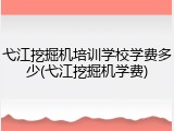 弋江挖掘机培训学校学费多少(弋江挖掘机学费)