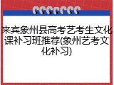 来宾象州县高考艺考生文化课补习班推荐(象州艺考文化补习)
