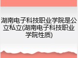 湖南电子科技职业学院是公立私立(湖南电子科技职业学院性质)
