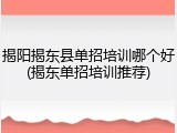 揭阳揭东县单招培训哪个好(揭东单招培训推荐)