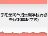 邵阳武冈单招集训学校有哪些(武冈单招学校)