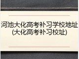 河池大化高考补习学校地址(大化高考补习校址)