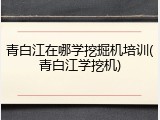青白江在哪学挖掘机培训(青白江学挖机)