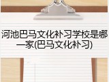 河池巴马文化补习学校是哪一家(巴马文化补习)