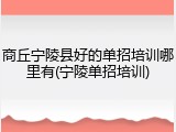商丘宁陵县好的单招培训哪里有(宁陵单招培训)
