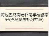 河池巴马高考补习学校哪家好(巴马高考补习推荐)