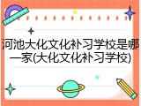 河池大化文化补习学校是哪一家(大化文化补习学校)