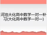 河池大化高中数学一对一补习(大化高中数学一对一)