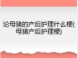 论母猪的产后护理什么梗(母猪产后护理梗)